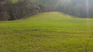 Terreno a Mondavio - Foto 2