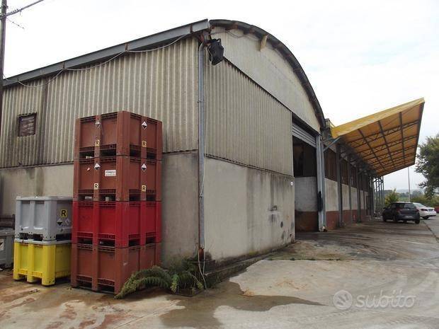 Immobile a Acquaviva picena - Foto 5