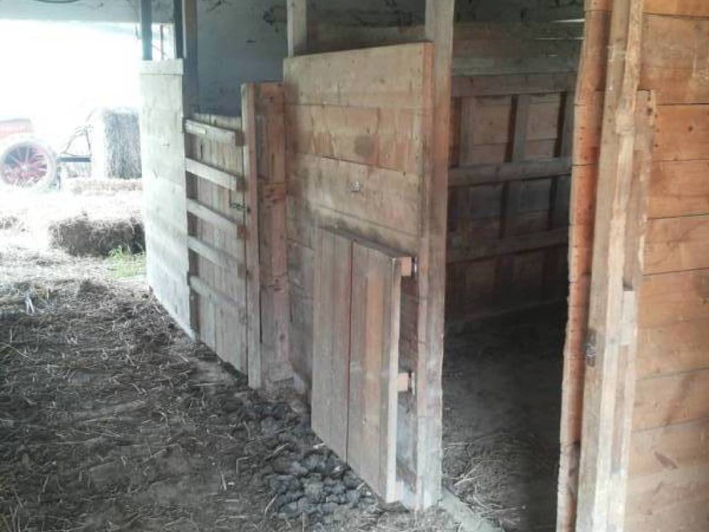 Villa a Mondavio - Foto 5