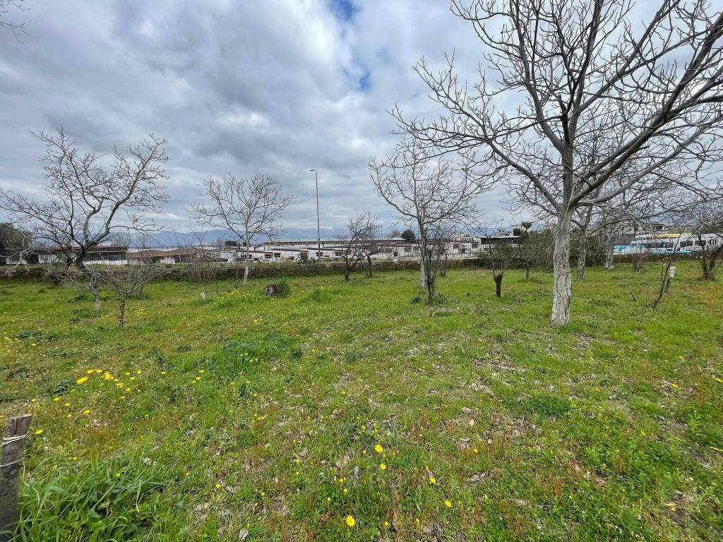 Terreno a Somma vesuviana in Via Colle - Foto 2