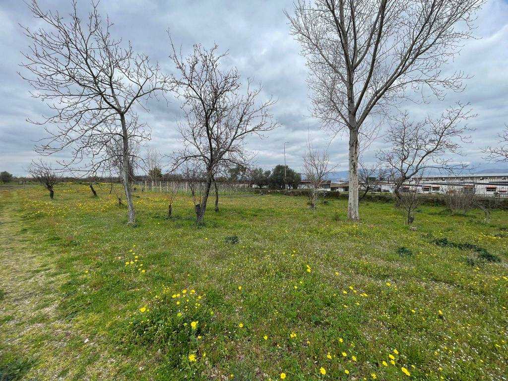 Terreno a Somma vesuviana in Via Colle - Foto 3