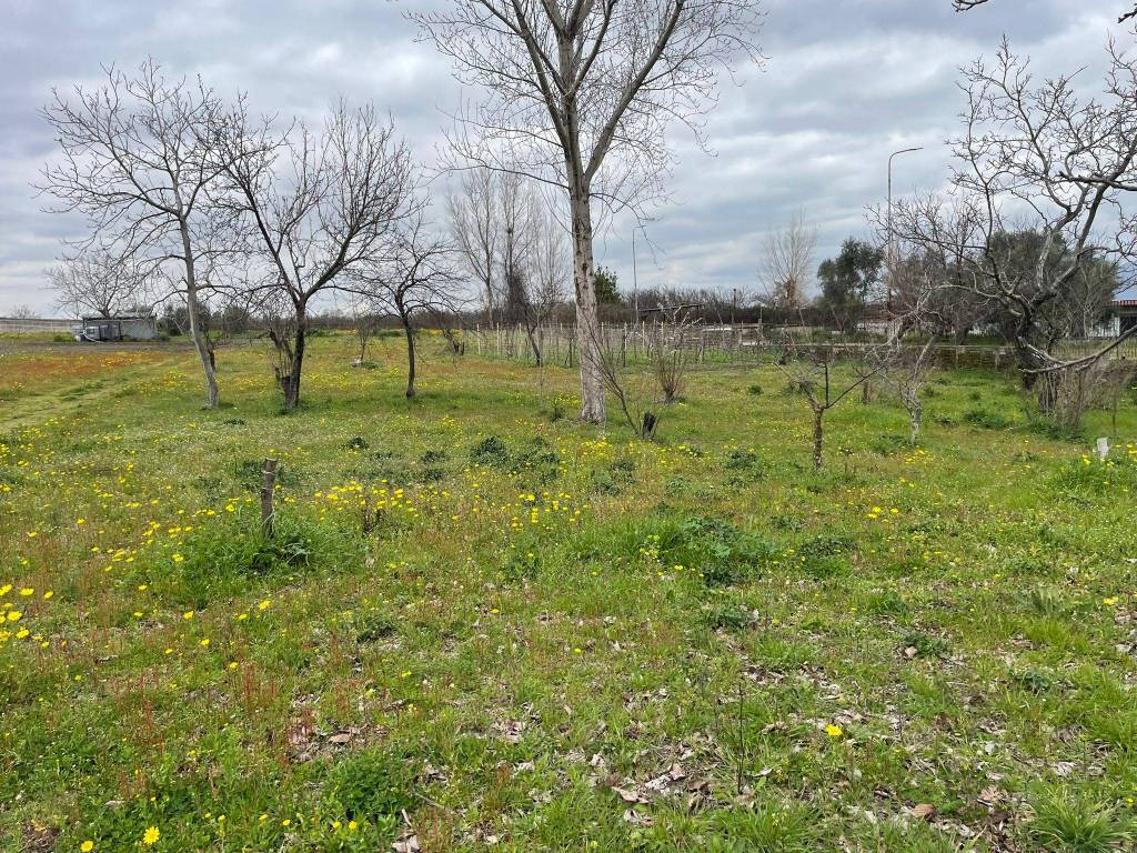 Terreno a Somma vesuviana in Via Colle - Foto 4