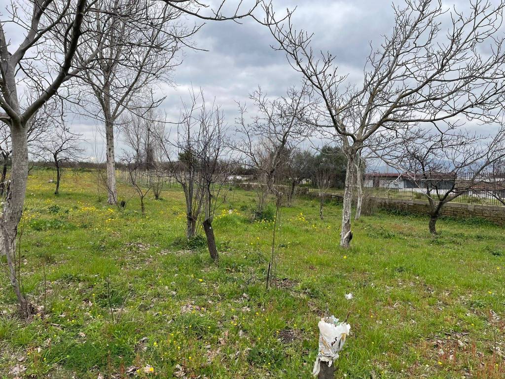 Terreno a Somma vesuviana in Via Colle - Foto 5