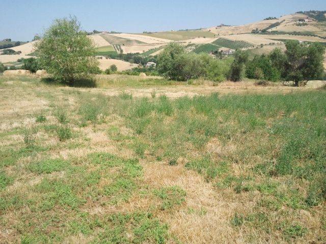 Rustico / casale a Offida - Foto 2