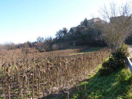 Villa a Venarotta - Foto 3