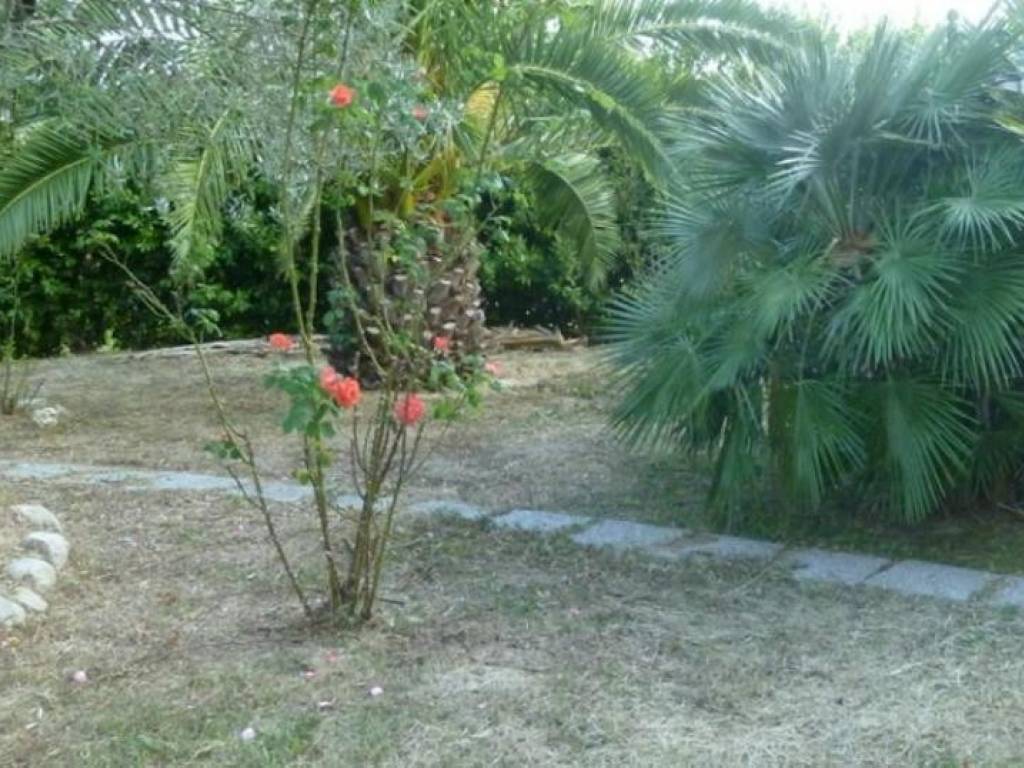 Villa a Cossignano - Foto 4