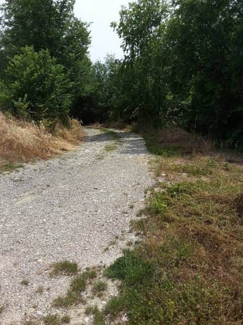 Rustico / casale a Carassai - Foto 4