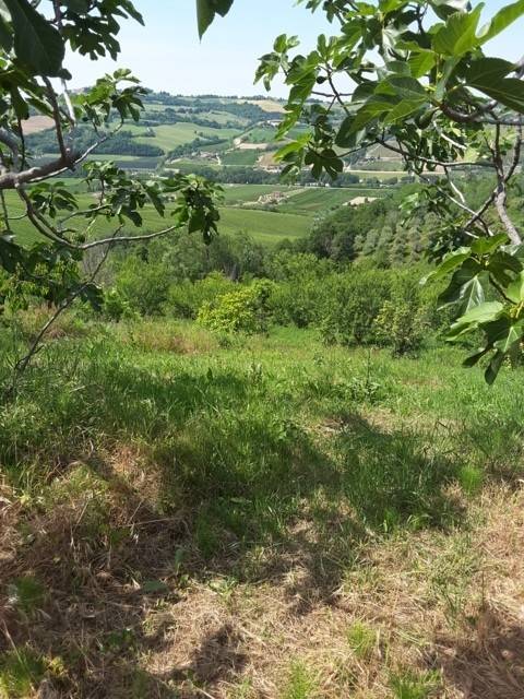 Rustico / casale a Carassai - Foto 5