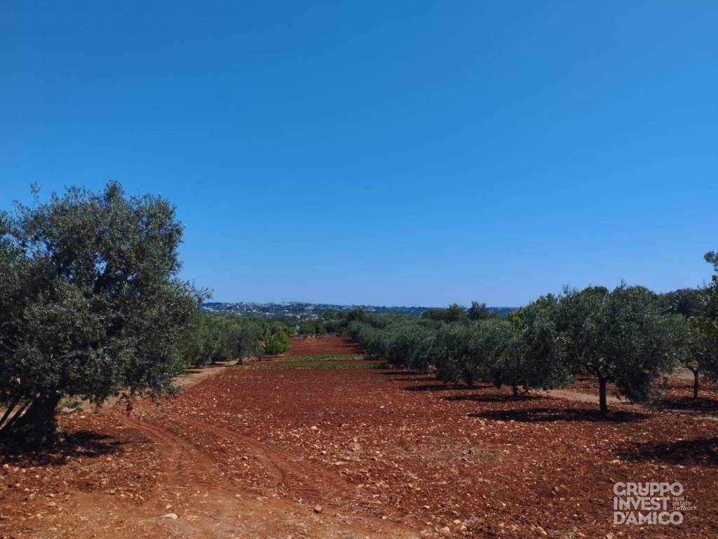 Terreno a Ostuni in Contrada Difesa San Salvatore - Foto 2