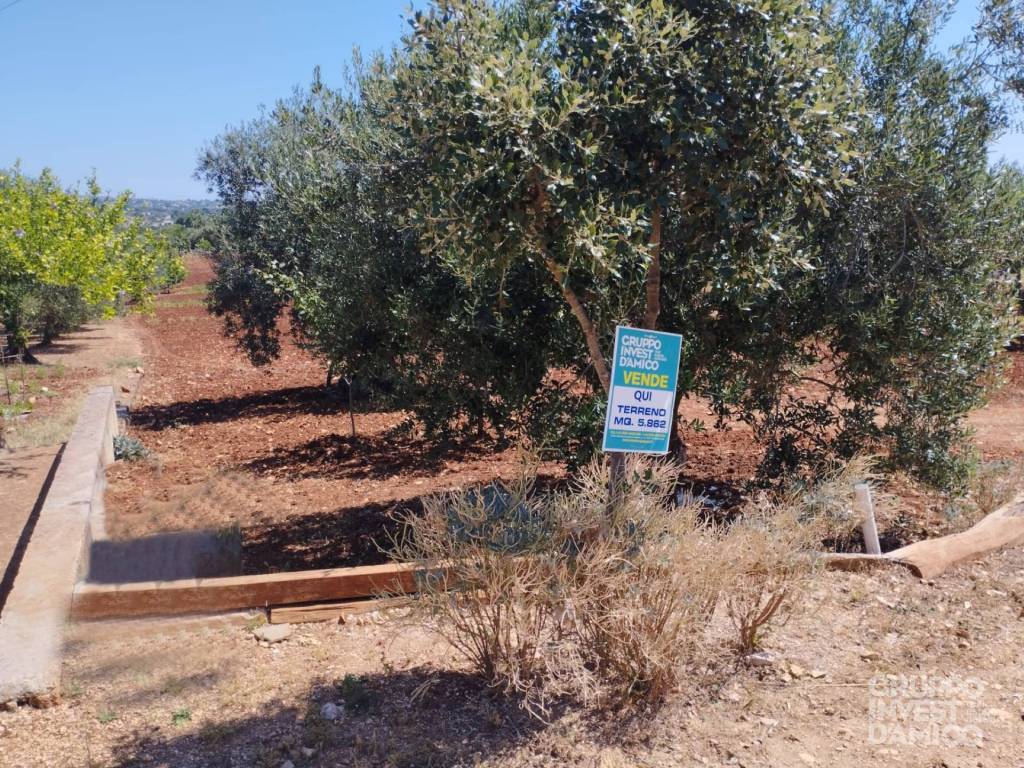 Terreno a Ostuni in Contrada Difesa San Salvatore - Foto 3