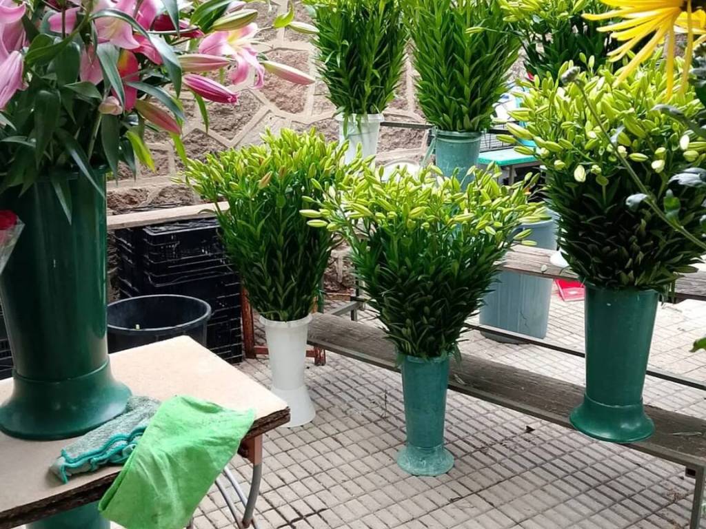 Immobile a Sassari in Viale Porto Torres - Foto 2