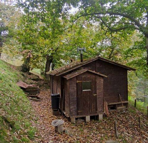 Terreno a Vicchio - Foto 5