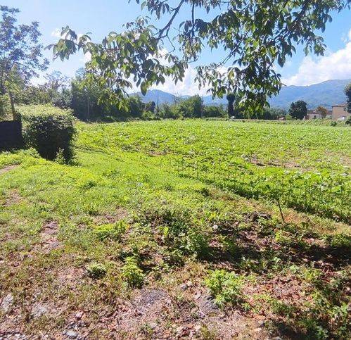 Terreno a Vicchio - Foto 2