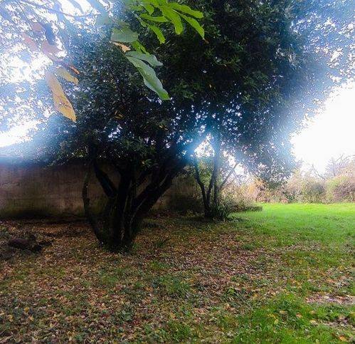 Rustico / casale a Vicchio - Foto 3