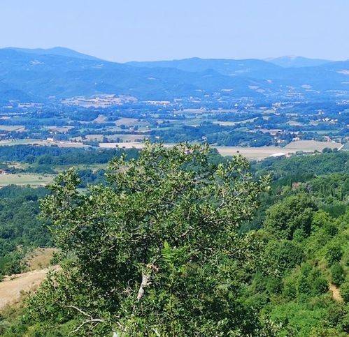 Villetta a schiera a Vicchio - Foto 5