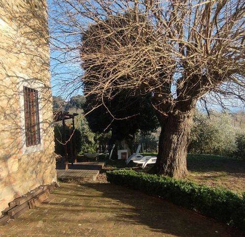 Rustico / casale a Vicchio - Foto 2