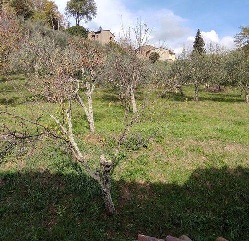 Villa a Vicchio - Foto 4