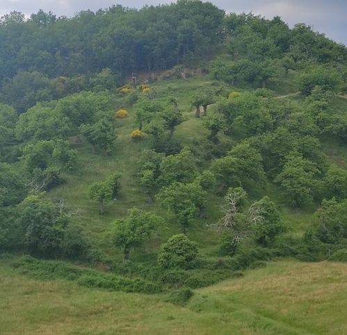 Rustico / casale a Vicchio - Foto 3