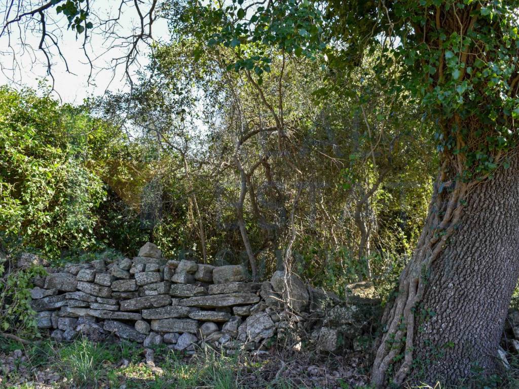 Rustico / casale a Noto in SP24 - Foto 4