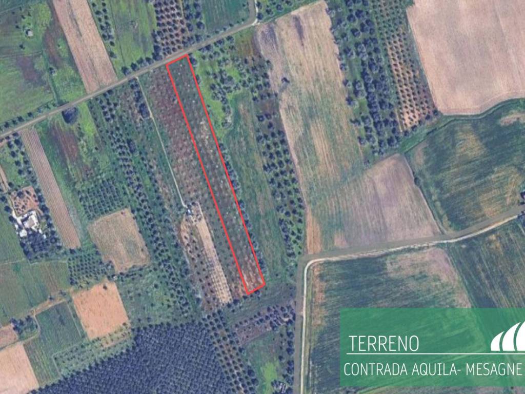 Terreno a Mesagne - Foto 4