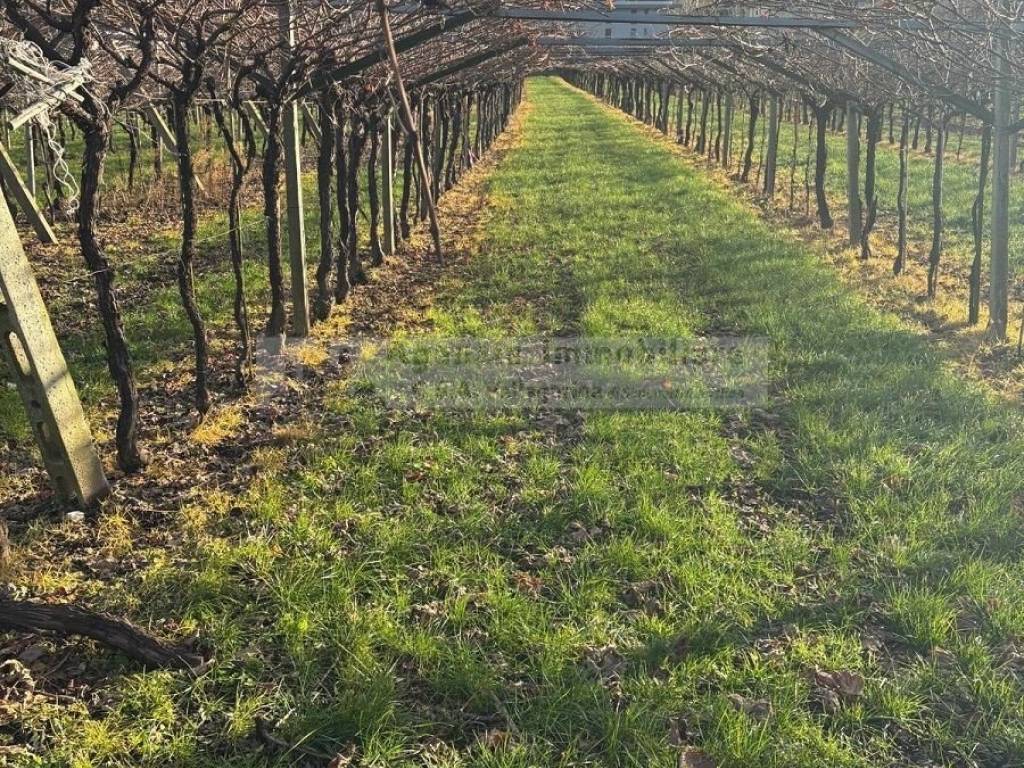 Terreno a Volano in via tavernelle - Foto 3