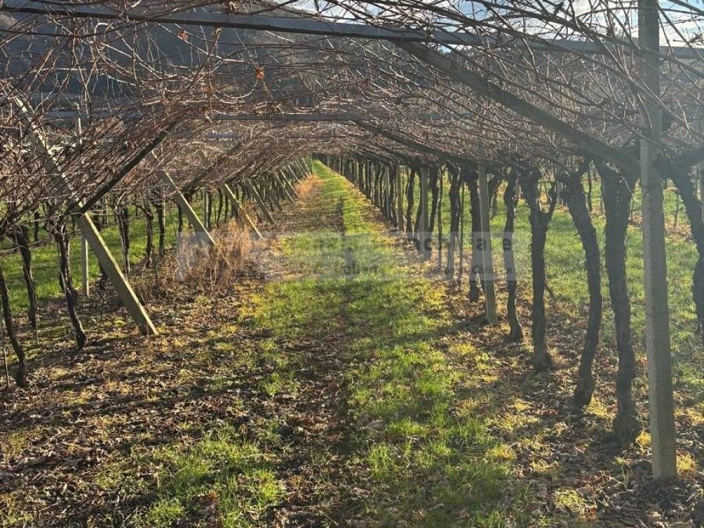 Terreno a Volano in via tavernelle - Foto 4