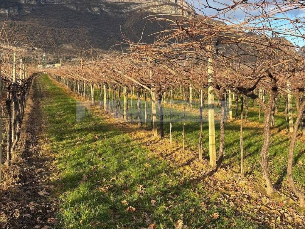 Terreno a Volano in via tavernelle - Foto 5