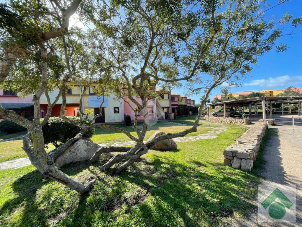 Appartamento a San teodoro in Capo coda cavallo - Foto 3