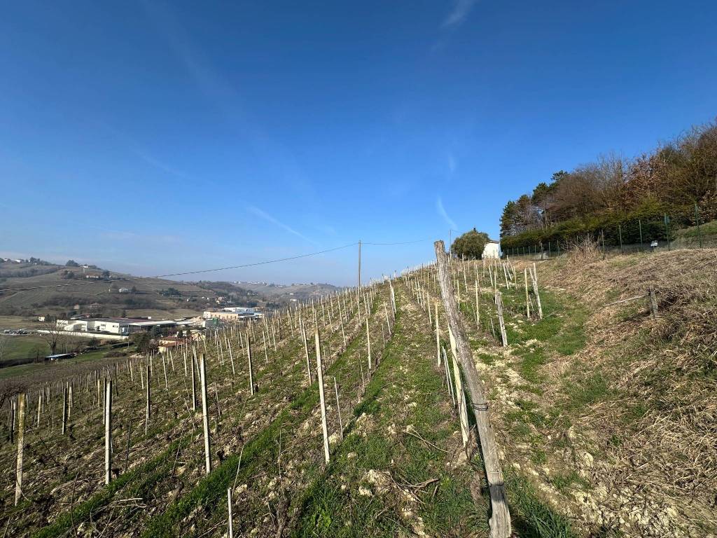 Villa a Canelli in Regione Secco - Foto 4