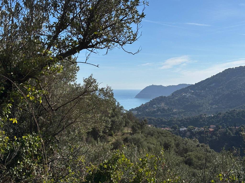 Villa a Alassio in Regione Liggia - Foto 5