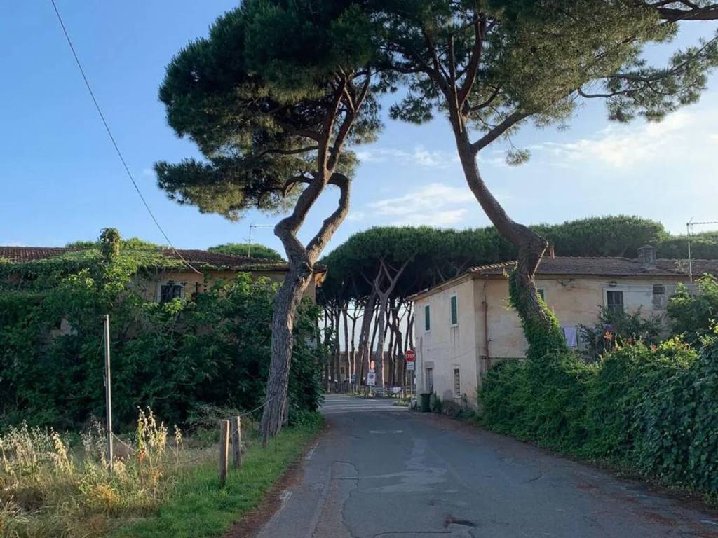 Appartamento a Ameglia - Foto 3