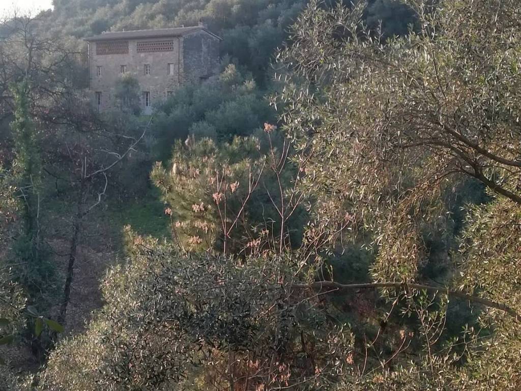 Villa a Camaiore in Piancavallo No Number - Foto 3