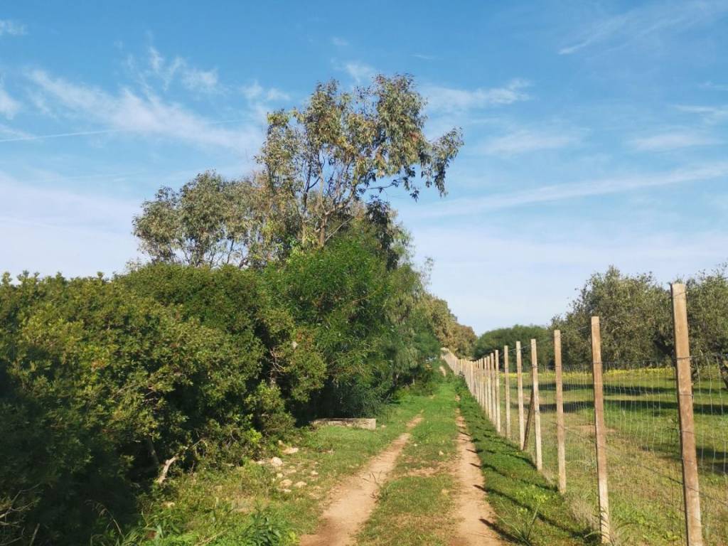 Terreno a Alghero in Via Punta Cristallo - Foto 3
