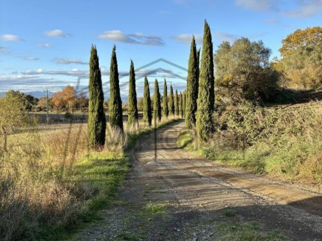 Villa a Montefiascone in Via Mentuccia - Foto 5