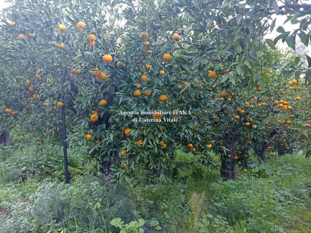 Terreno a Palermo in Via Gibilrossa - Foto 5