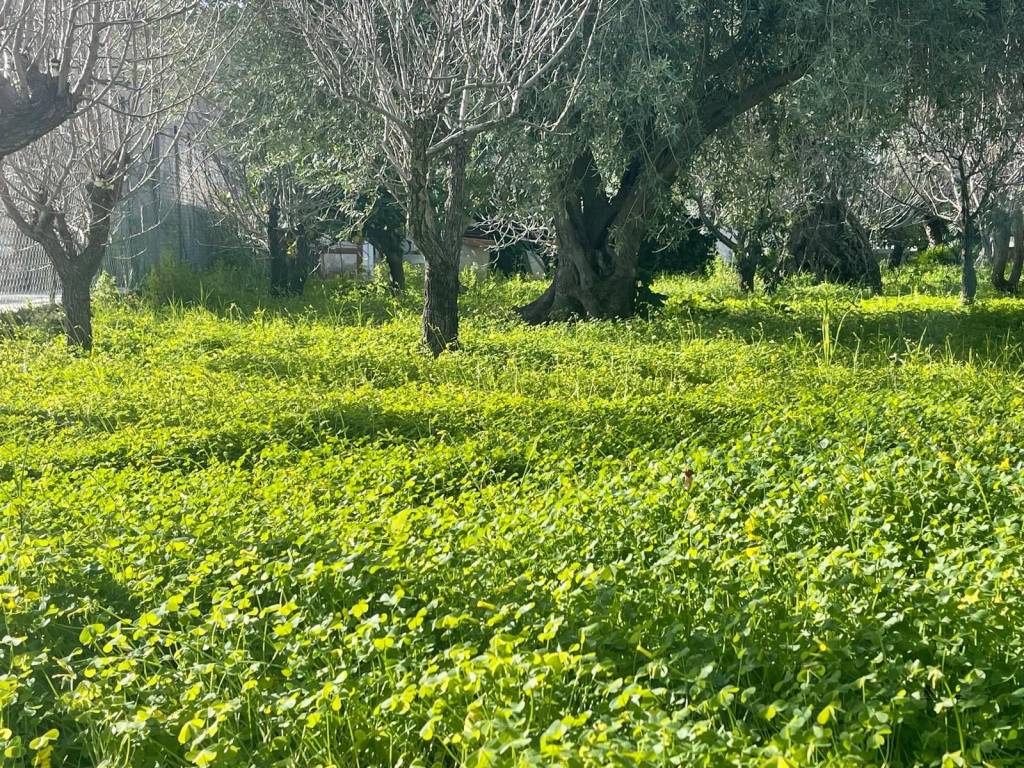 Villa a Capaci in Via Sergente Salvatore Scalici - Foto 4