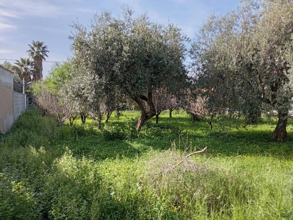 Villa a Capaci in Via Sergente Salvatore Scalici - Foto 5