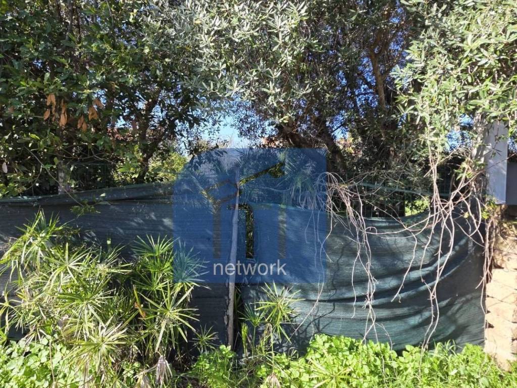 Terreno a Roma in Via Giuseppe Fiorelli - Foto 3