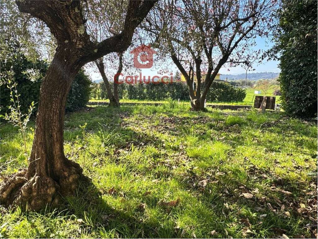 Casa indipendente a Pescia - Foto 3