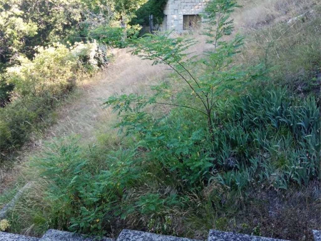 Casa indipendente a Carpineti - Foto 3