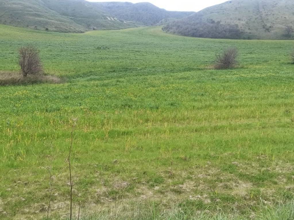 Terreno a Montescaglioso in Strada Provinciale Piani Bradano - Foto 2