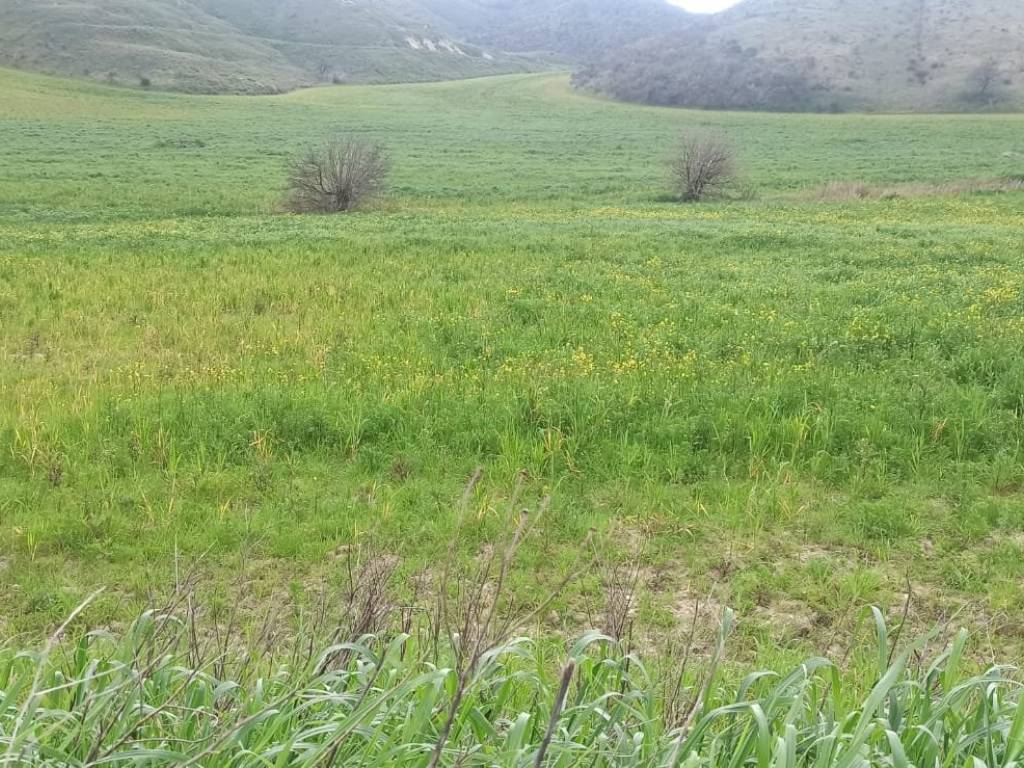 Terreno a Montescaglioso in Strada Provinciale Piani Bradano - Foto 3