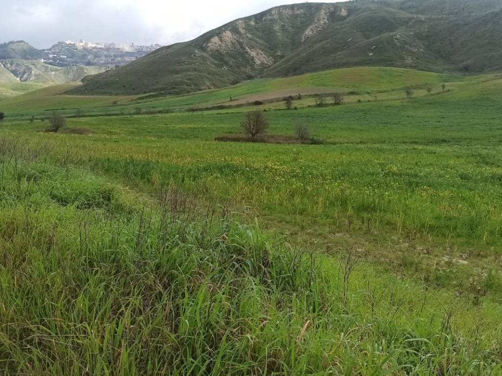 Terreno a Montescaglioso in Strada Provinciale Piani Bradano - Foto 4