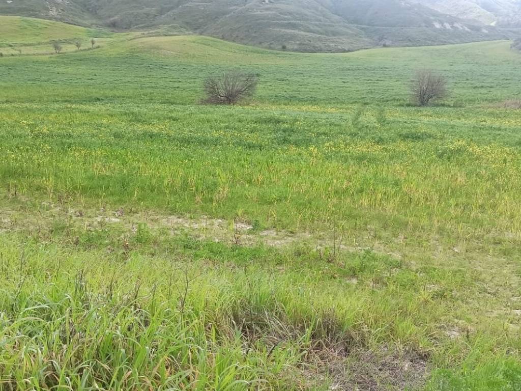 Terreno a Montescaglioso in Strada Provinciale Piani Bradano - Foto 5