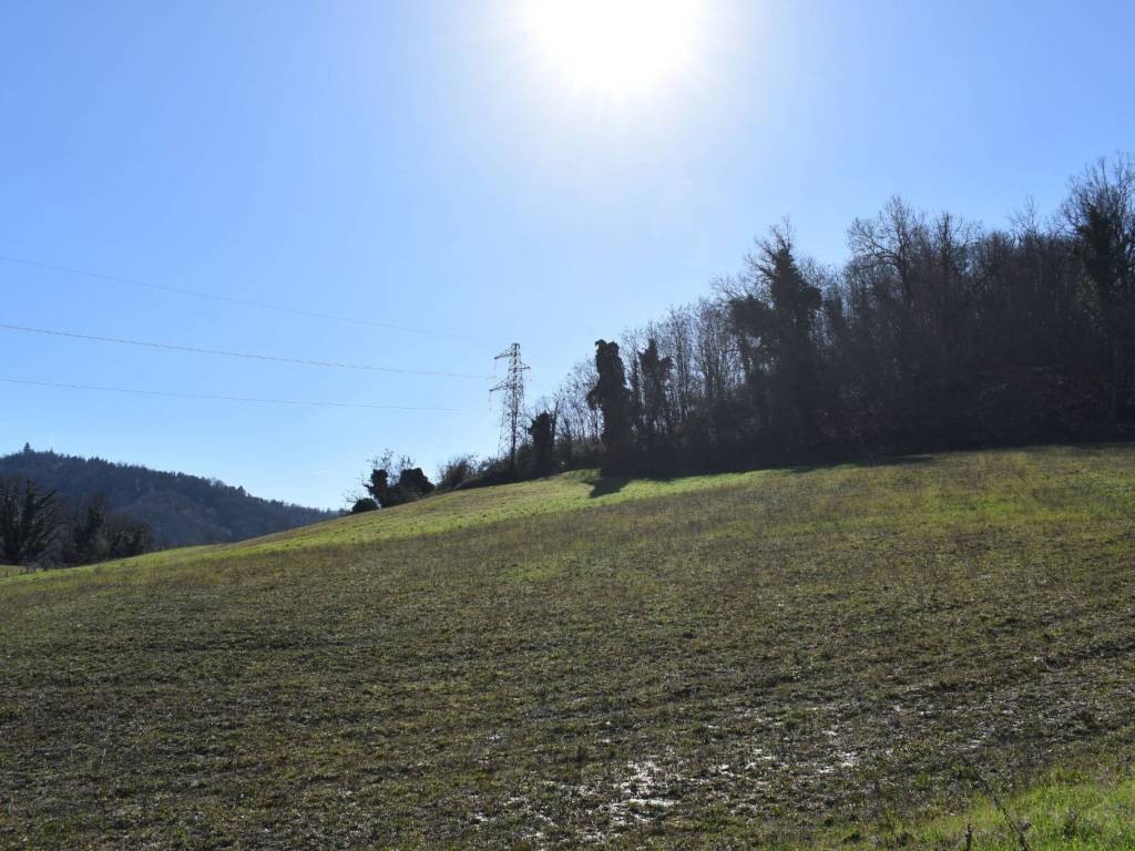 Terreno a Monzuno in Località Casa Dallolio - Foto 3