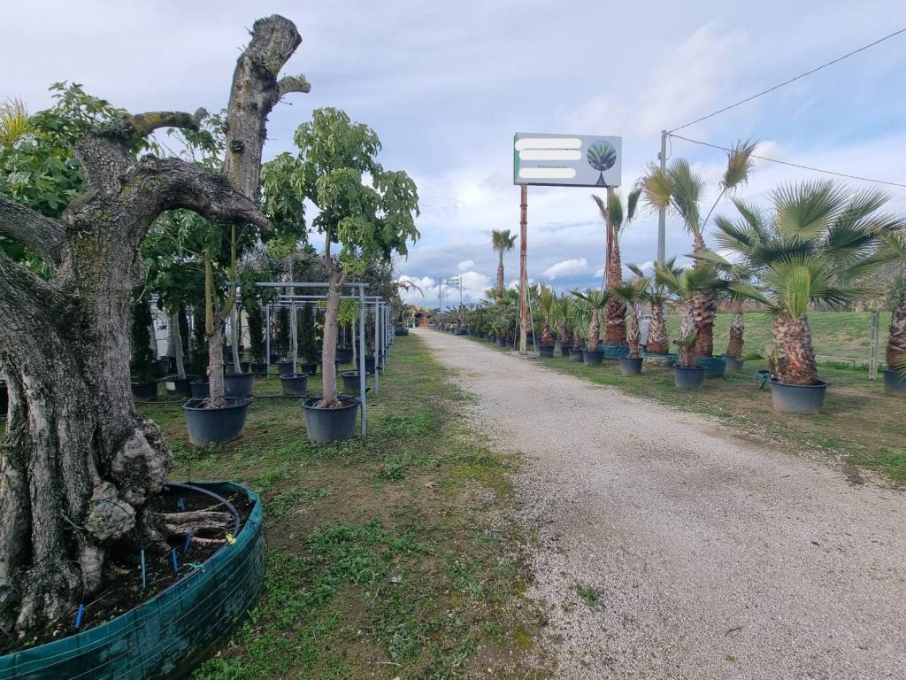 Terreno a Latina in Via Pontina - Foto 2