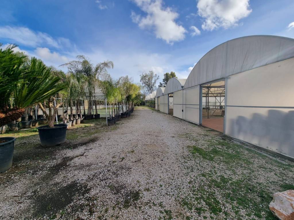 Terreno a Latina in Via Pontina - Foto 4