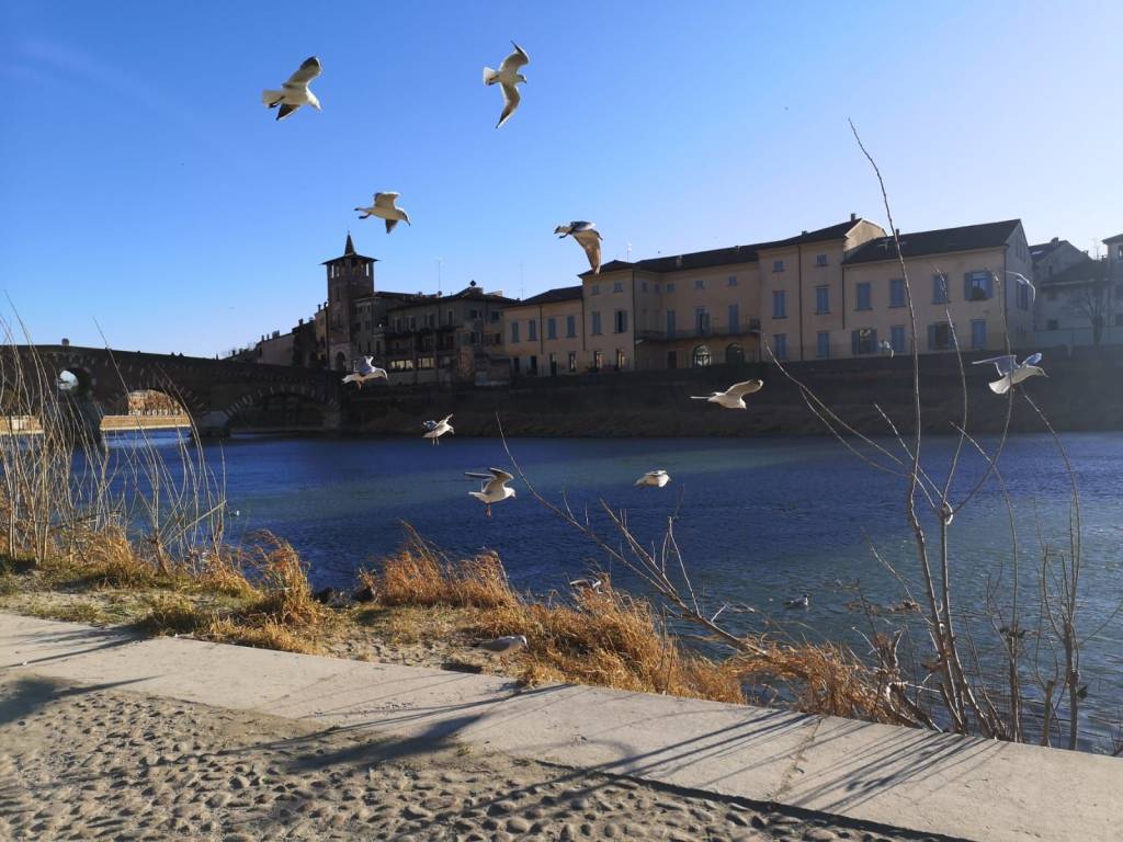 Villa a Verona in Via del Risorgimento - Foto 4