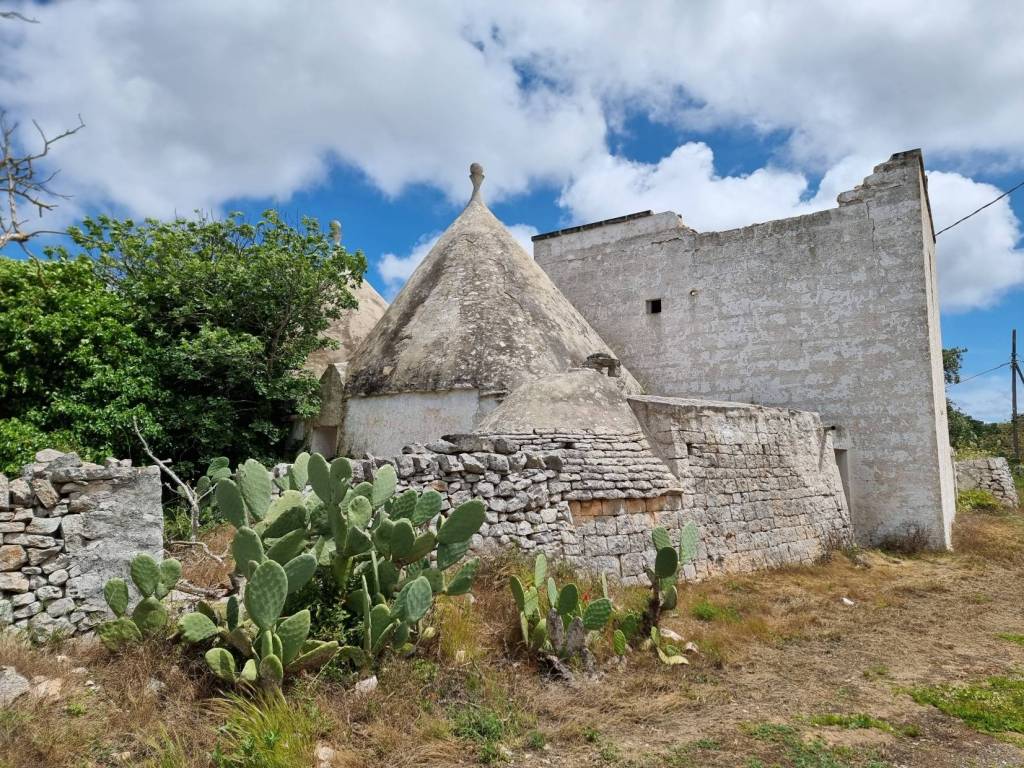 Rustico / casale a Cisternino - Foto 3