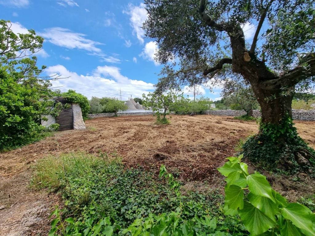 Rustico / casale a Cisternino - Foto 4